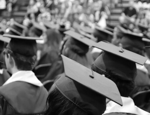 An “Old Fogy’s” View On University vs. Trade Education